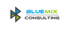 bluemix consulting (1)